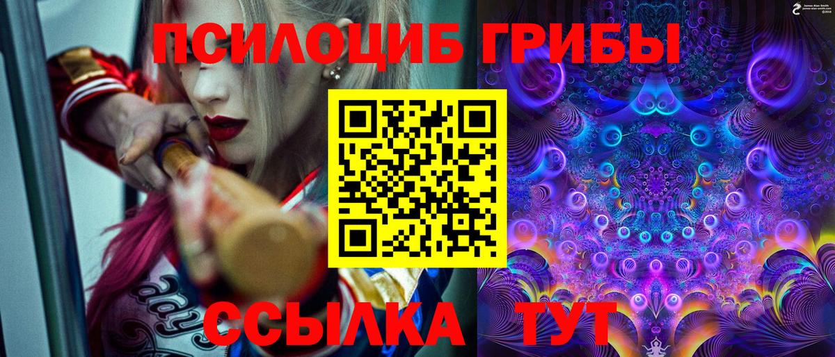 Псилоцибиновые грибы Psilocybe  наркота  Ялуторовск  Вход с VPN 